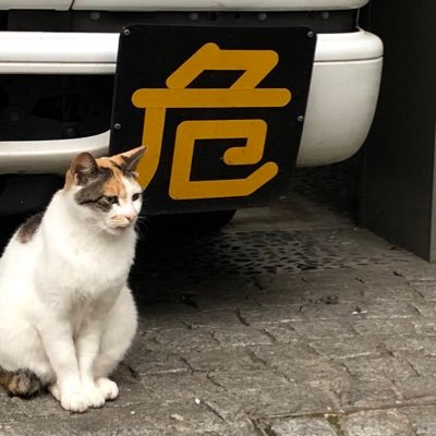 千葉駅・外苑前駅・駒場東大前駅で活動しているパーソナルトレーナーです。元々はボディビルのためのトレーニングを続けていましたが、S&C指導をするためにトレーニングを大幅に変えました。