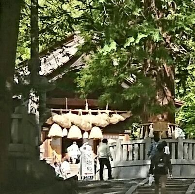 0036tatsu's profile picture. 