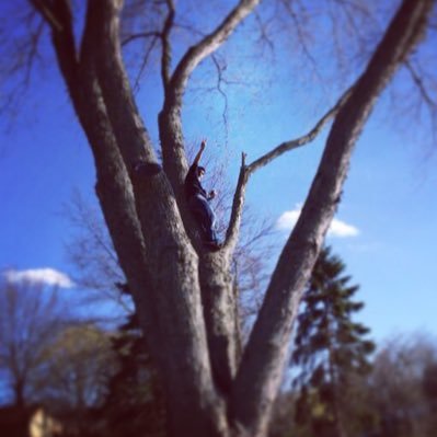 semnsayar's profile picture. #merciArsène