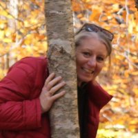 Lisa Webb (@lisawebbot) 's Twitter Profile