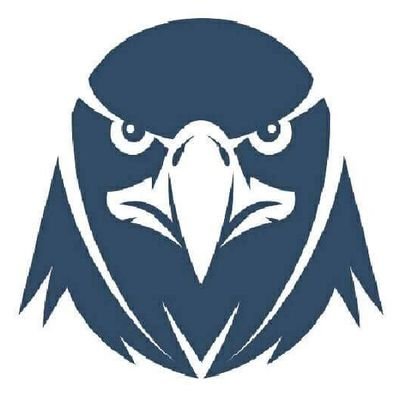 BlueEagle319's profile picture. De Honduras aficionado de @MotaguaCom 🦅 y @Chelseafc💙