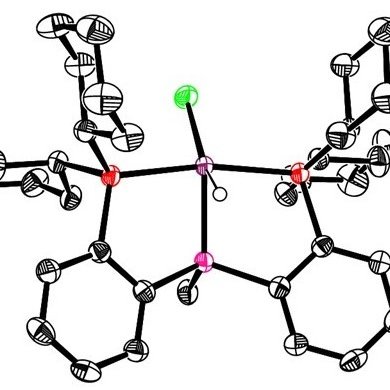Twitter account for the Turculet research group at Dalhousie University (Halifax, NS, Canada). 🇨🇦👩🔬