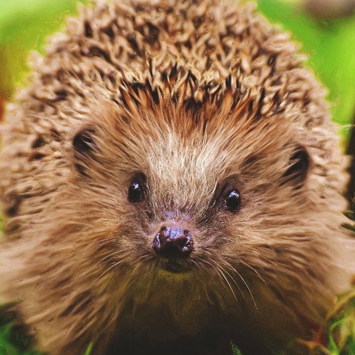rustyhedgehog1's profile picture. Embedded software engineer in space industry, interested in Rust language.