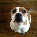 DJ Collier - @canudigme - Twitter