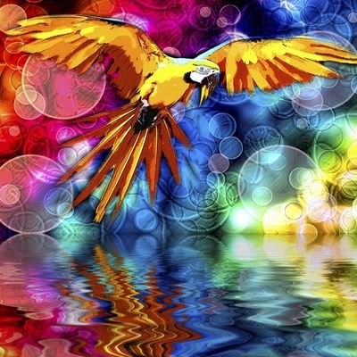 chenee_gould's profile picture. living life with integrity, courage and a race for a better life in view to perfection.