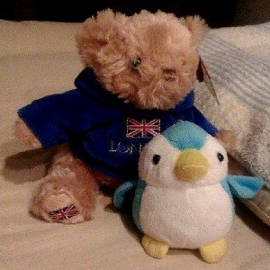 TEN13243964's profile picture. 20↑成人済み/ アイナナ 九条天 七瀬陸/
無言フォロー失礼します…
宜しくお願い致します。(´∀｀)/