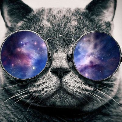 svetliy0110's profile picture. 