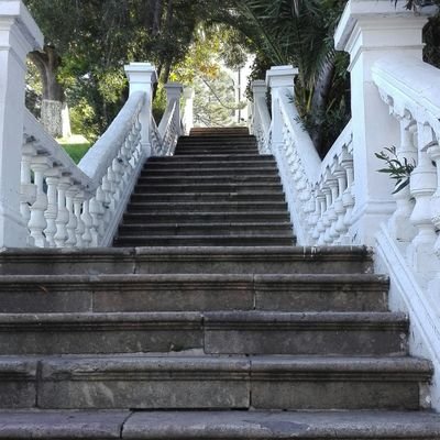 tolemon's profile picture. No twitteo, pero veo todo