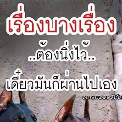 Xxo48534796's profile picture. ดู-