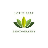 Lotus Leaf Photography (@lotusleafphoto1) 's Twitter Profile