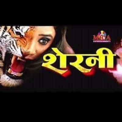 मेक इन इंडिया ट्रस्ट राष्ट्रीय अध्यक्ष व चेयरमैन वुमन सेल इंचार्ज cif/