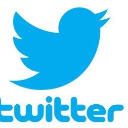 Tdogpound's profile picture. 