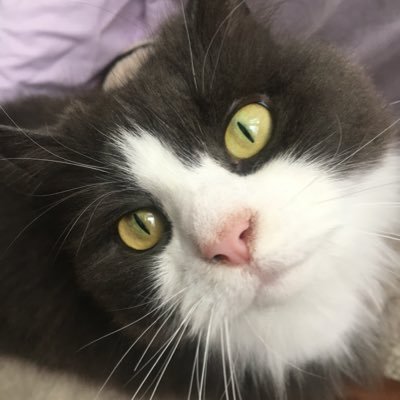 ruby rules