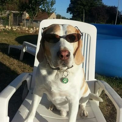 theandyevans's profile picture. 