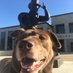 IchaDogs (@ichadogs) Twitter profile photo IchaDogs (@ichadogs) Twitter profile photo