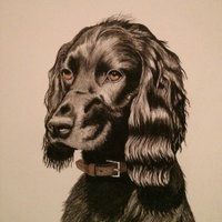 Art by Amy (@amyonpaper) 's Twitter Profile