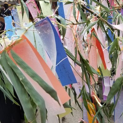 momozau's profile picture. hi!