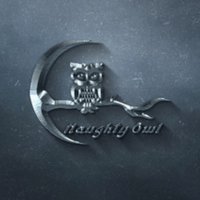 Naughty Owl Studios(@thenaughtyowls) 's Twitter Profileg