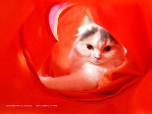 hisasuna1975's profile picture. 