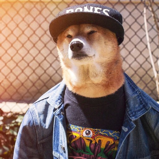 Rufusthehuman's profile picture. Woof woof woof rrrrrr WOOF woofwoofwoof rrrrrrrr WOOFWOOF WOOF