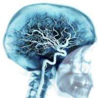 estudiomedicina (@estudiomedicina) 's Twitter Profile