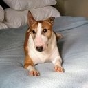 Les Bell - @LesBell67 - Twitter