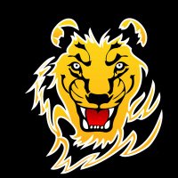 Somerset Losee Lions (@somersetloseel1) 's Twitter Profile