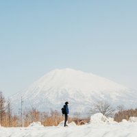 いとー (@itohton) 's Twitter Profile