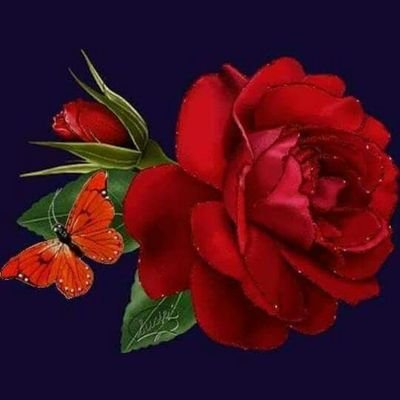 Ajaj67819682's profile picture. 