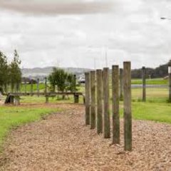 Whangarei public dog park offer a fenced area to have your dogs off the lead and a great place to train your dog