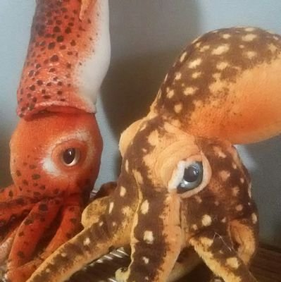 ikatakoyomichan's profile picture. 好きな人や好きな音楽のことを呟きます。 ＊ケラさん＊Cornelius＊サカナクション＊ナイツ＊テクノポップ＊80sNewWaves＊ジャルジャル＊NewJeans＊特撮映画