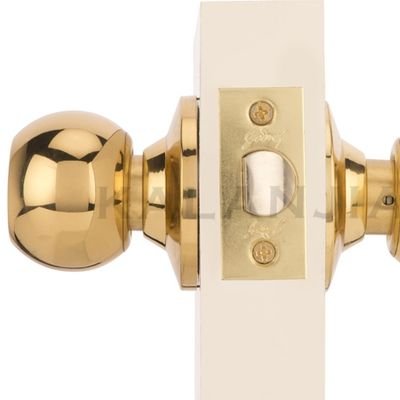 Adam05391881's profile picture. 