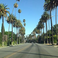 Daizzy (@purincee) 's Twitter Profile