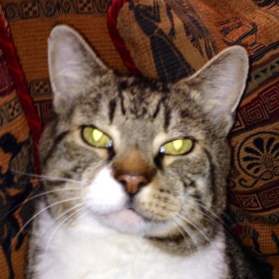 Victor Russoさんのプロフィール画像
