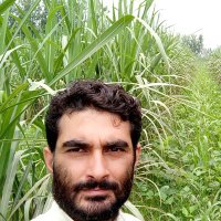 Praveen Kumar (@praveenaolkumar) 's Twitter Profile