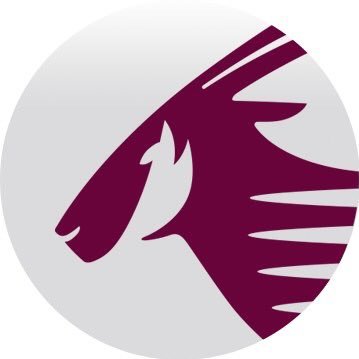 Qatar Airways Support Profile