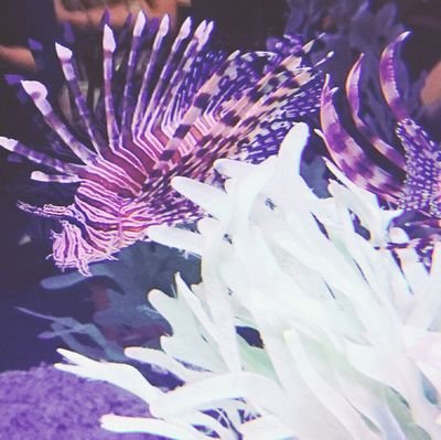 ナナミさんのプロフィール画像