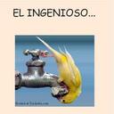 Daniel Morando F - @danielmorandof - Twitter