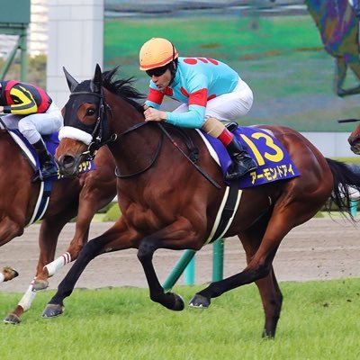 utakatakata888's profile picture. 競馬と野球が好きです💸1番好きな馬はアーモンドアイ🐎虎党🐯