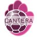 Cantera Bm Guadalajara (@basebmguada) Twitter profile photo
