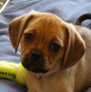 booksnthings's profile picture. Retired at Life