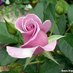 DebsMO (@deborah06867247) Twitter profile photo DebsMO (@deborah06867247) Twitter profile photo