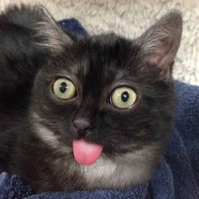 disabeleaccount's profile picture. 