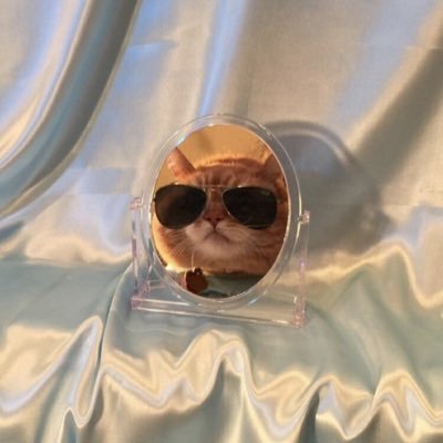 dmsannon's profile picture. dms abertas❣️