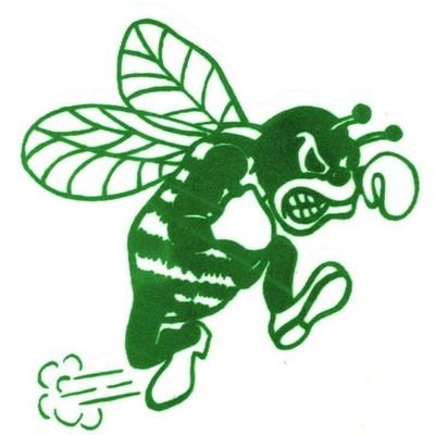 Pemberton Hornets Football