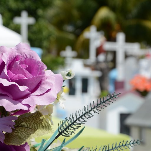 Funeralservice8's profile picture. When you need funeral services, you need to quickly find, and contact, funeral service providers that are close by. This site allows you to do exactly that.