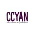 Crohn's and Colitis Young Adults Network (@CCYANetwork) Twitter profile photo