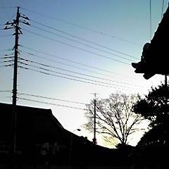 taoさんのプロフィール画像