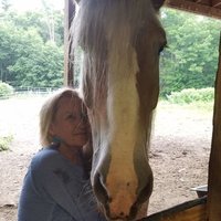 Nancy Mleczko (@mleczkonancy) 's Twitter Profile