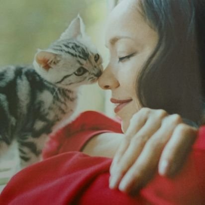 M7R9's profile picture. ♡Namie Amuro♡LOVE♡cat♡                                 


25th ANNIVERSARY LIVE in OKINAWA🌴🌺✈